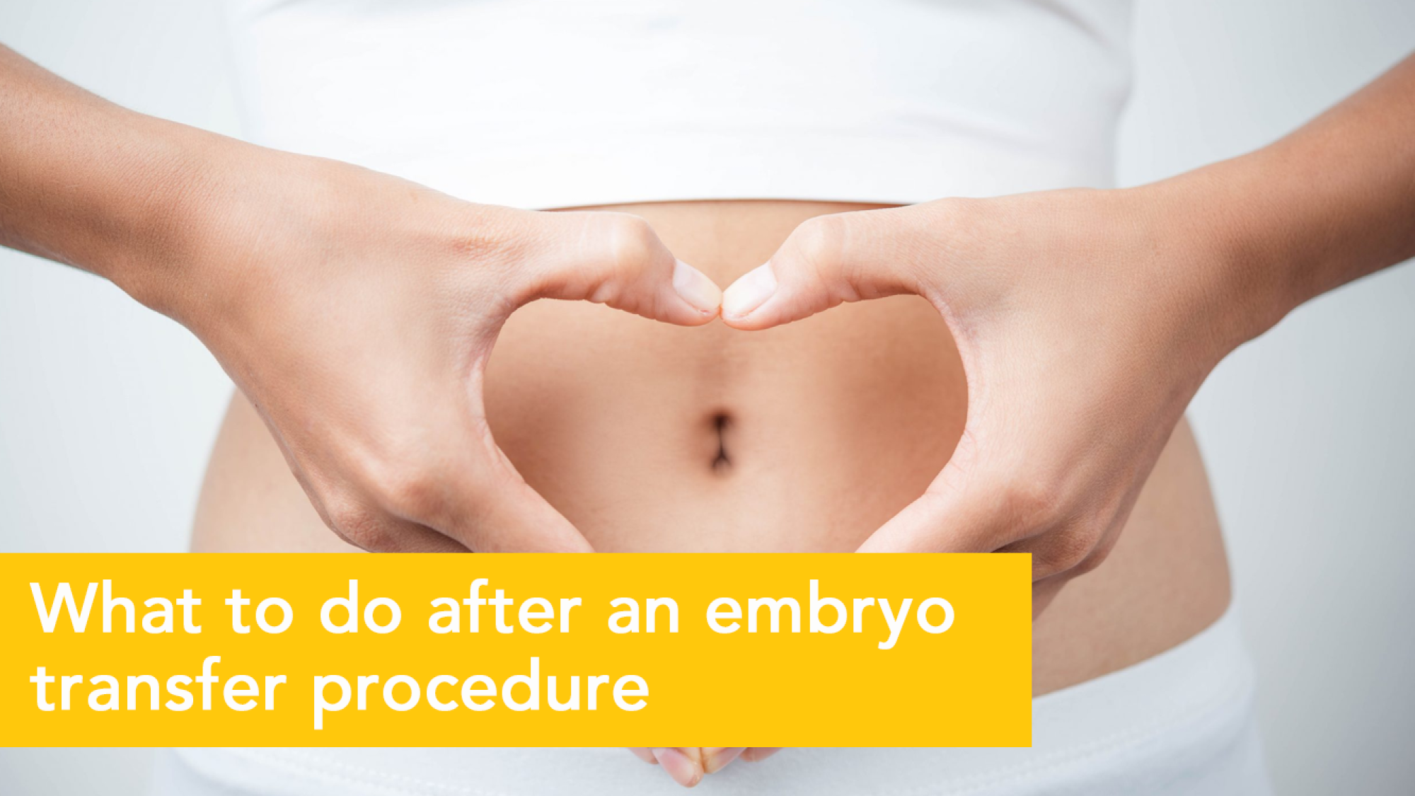 Embryo Transfer Procedure