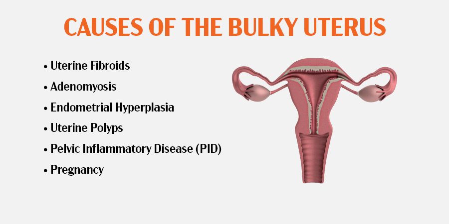 What Are The Common Causes of a Bulky Uterus