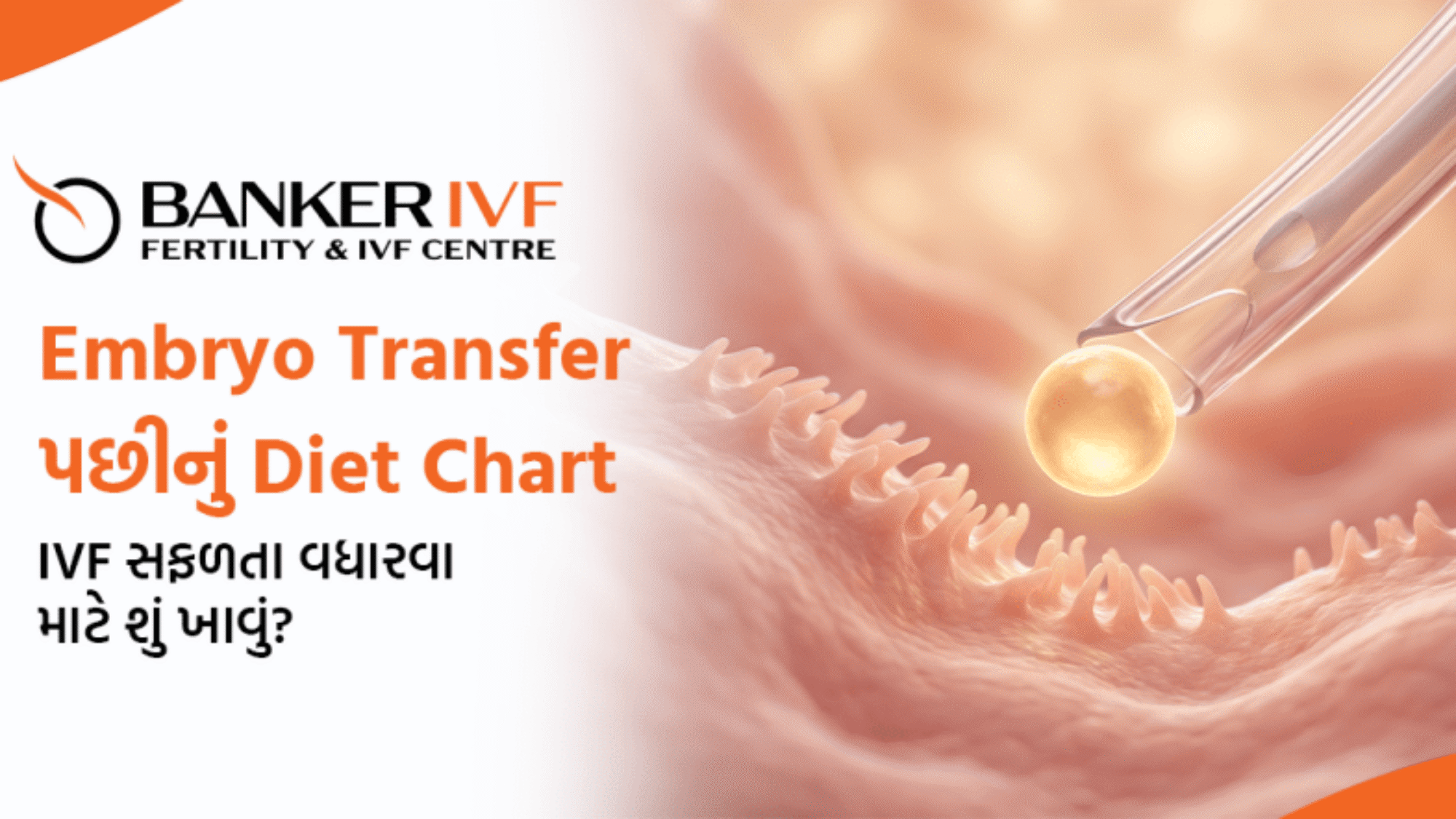 Embryo Transfer