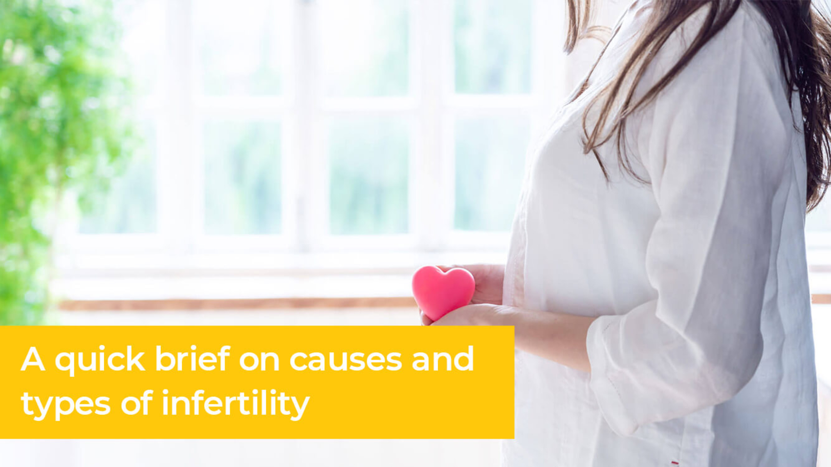 Brief-Banner_Desktop (2)