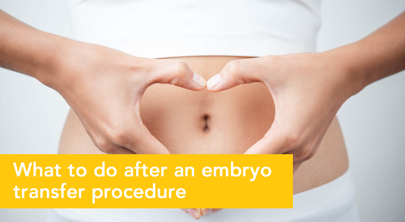 Embryo Transfer Procedure