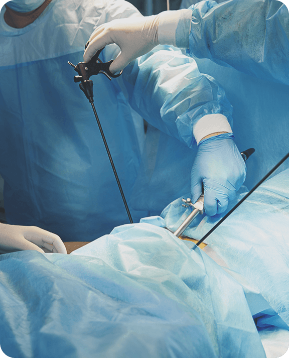 IVF Procedure look like