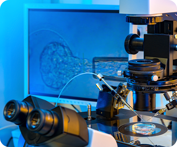 sperm testing in IVF clinic