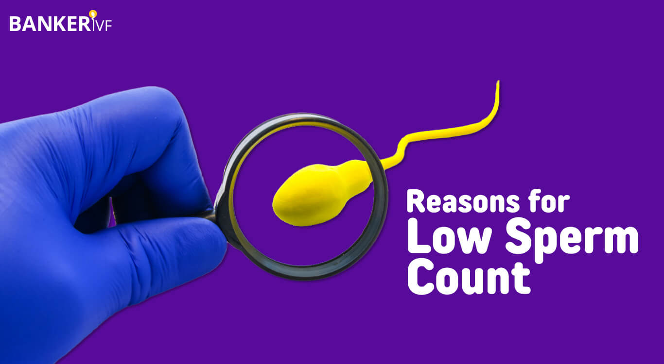 Reasons-for-Low-Sperm-Count-Male-Infertility-Banker-IVF-02