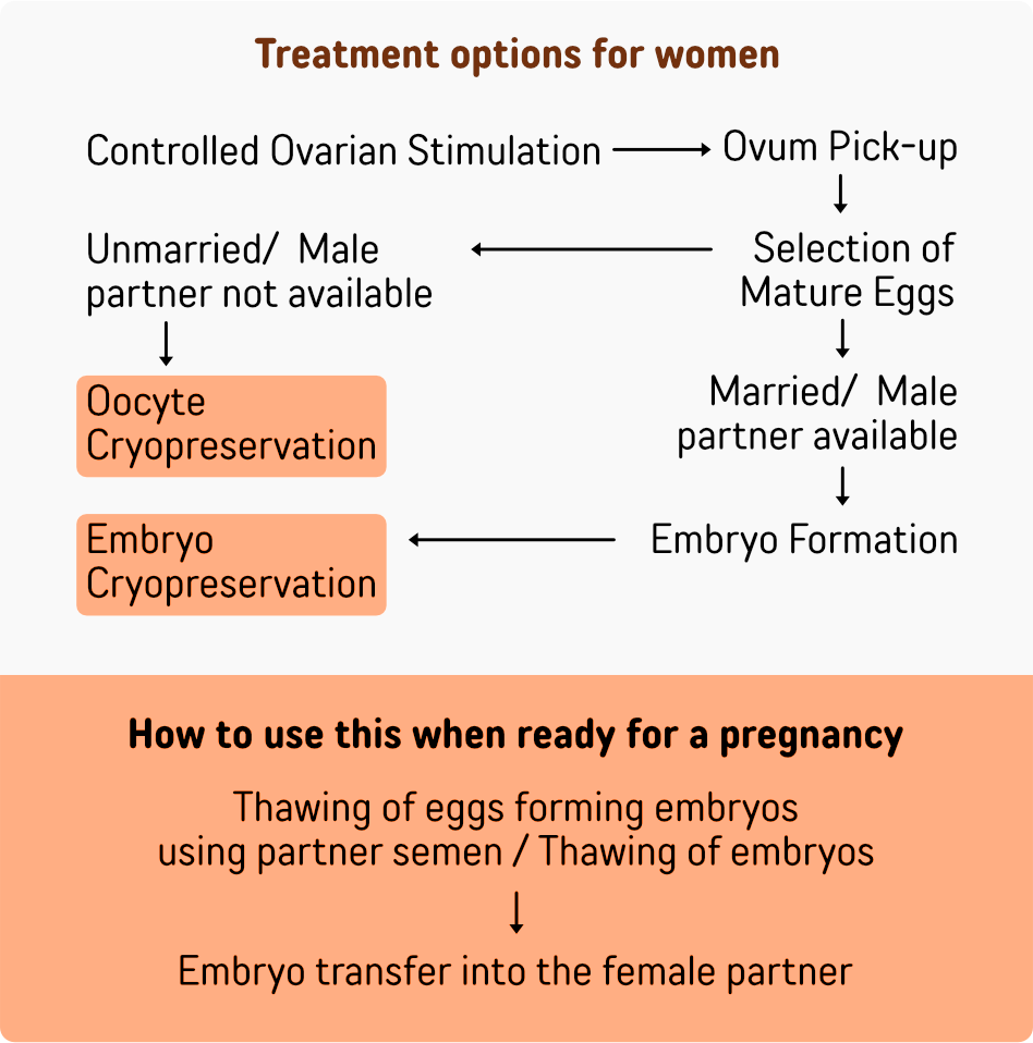 Fertility Preservation women Diagram