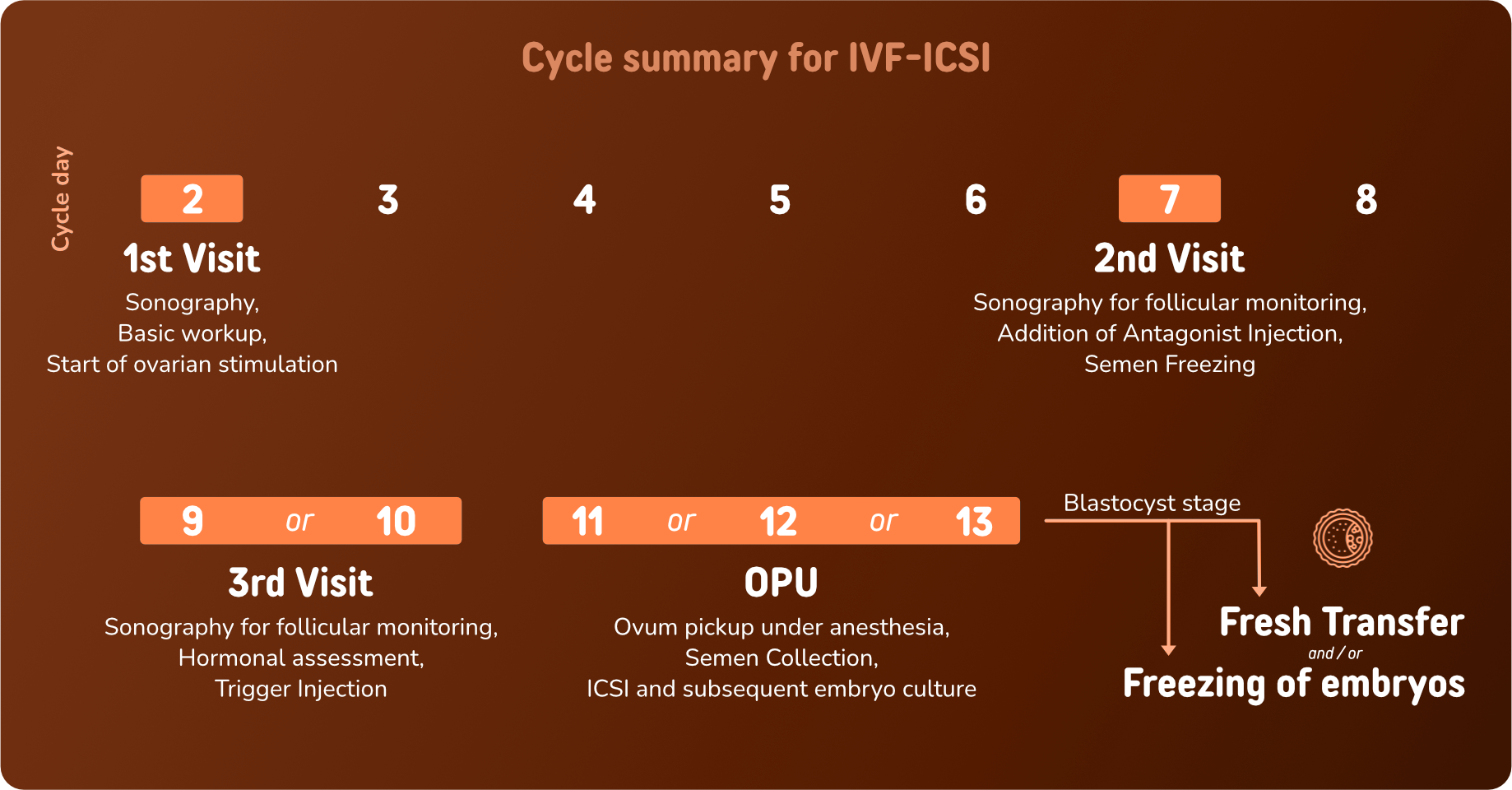 IVF Ssummary Diagram