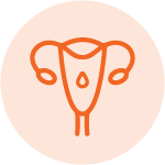 Ovulation Induction Icon