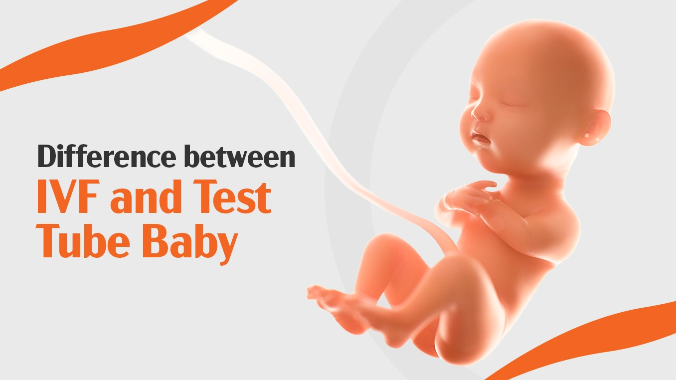 Difference between IVF and test tube baby