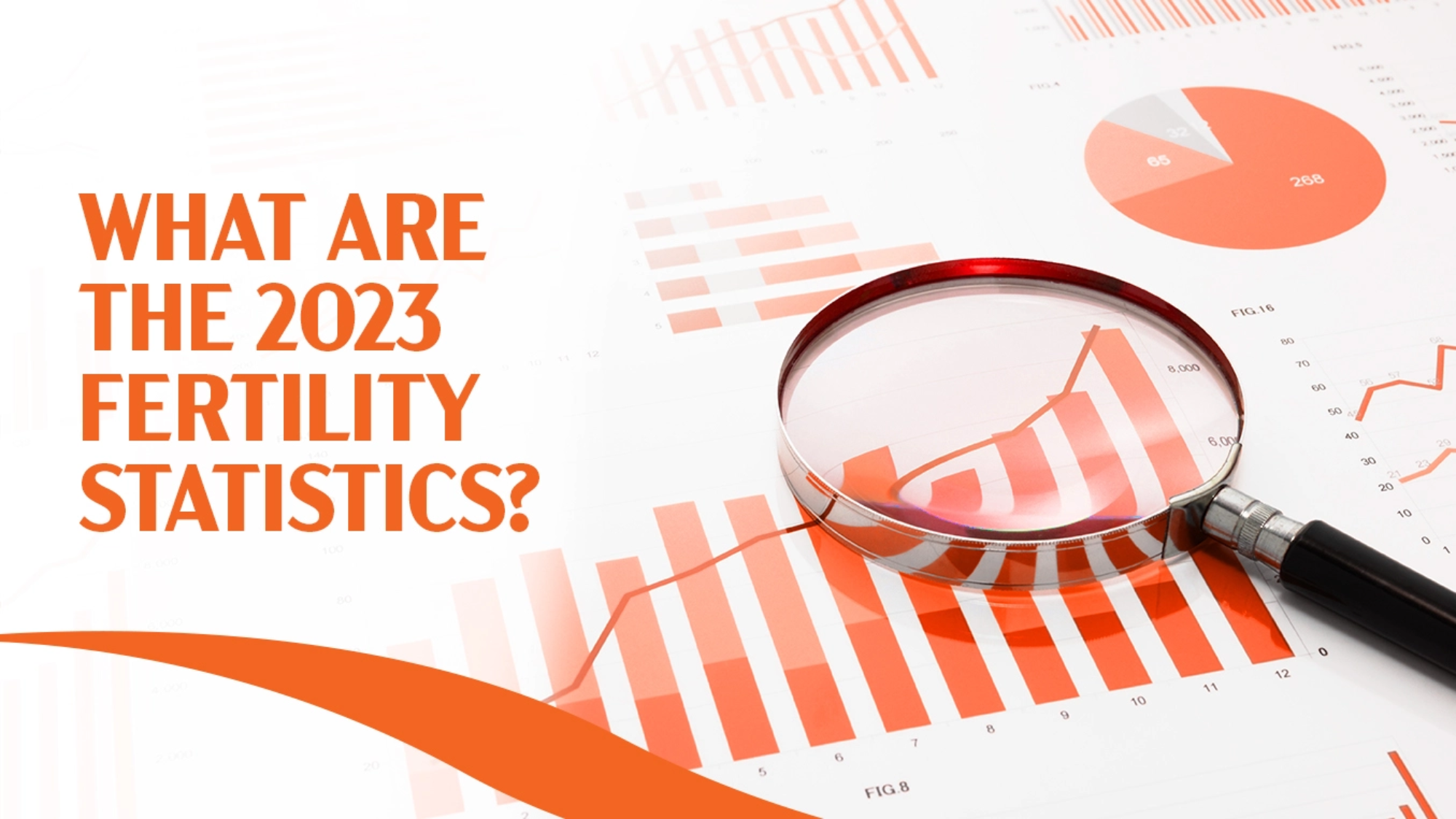 Fertility statistics of 2023