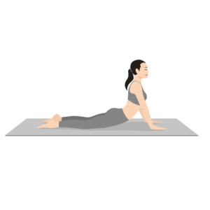 Bhujangasana