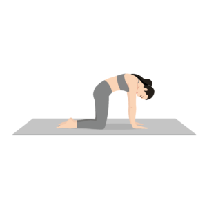 Marjaryasana