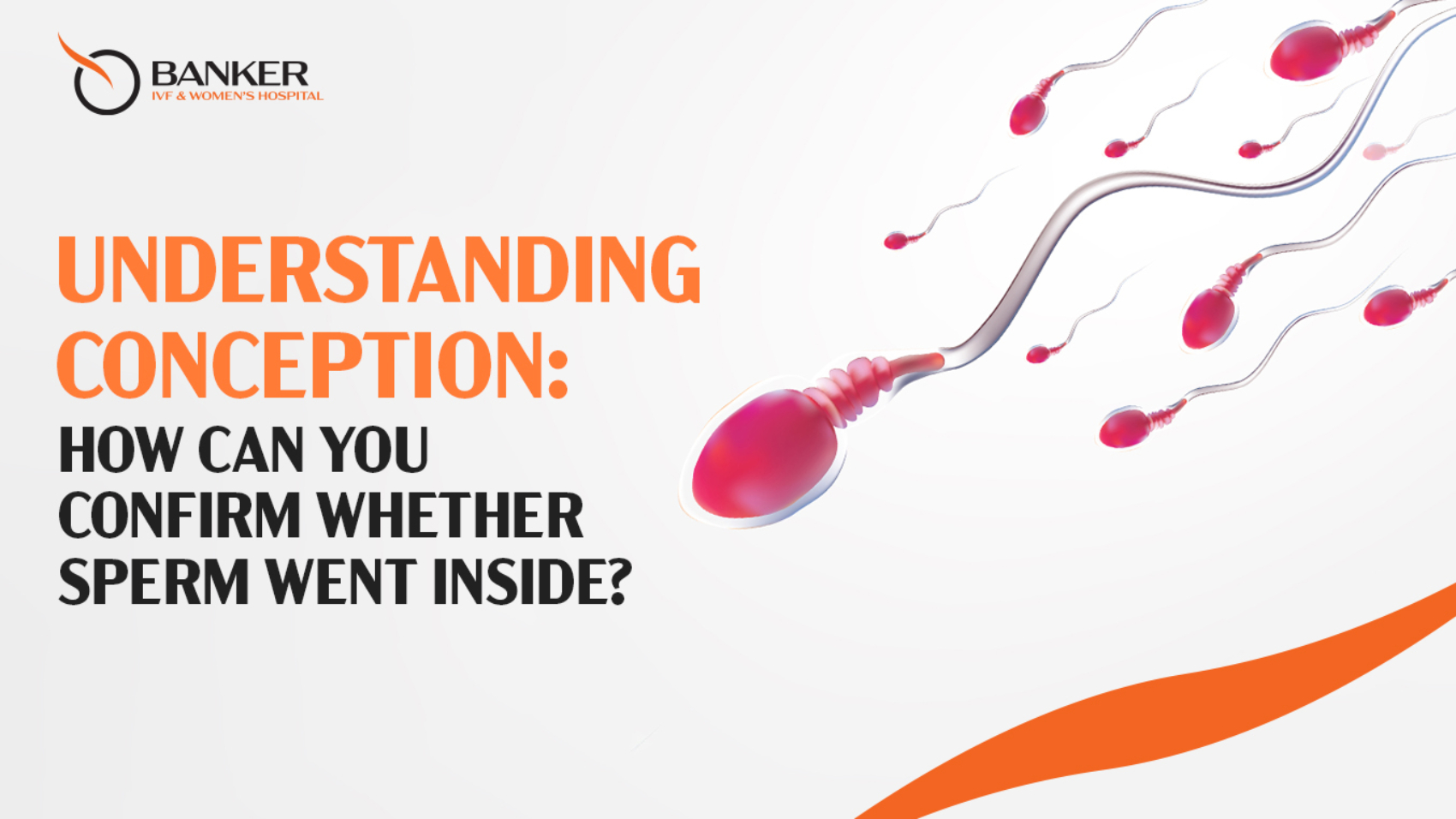 How Can You Confirm Whether Sperm Went Inside?