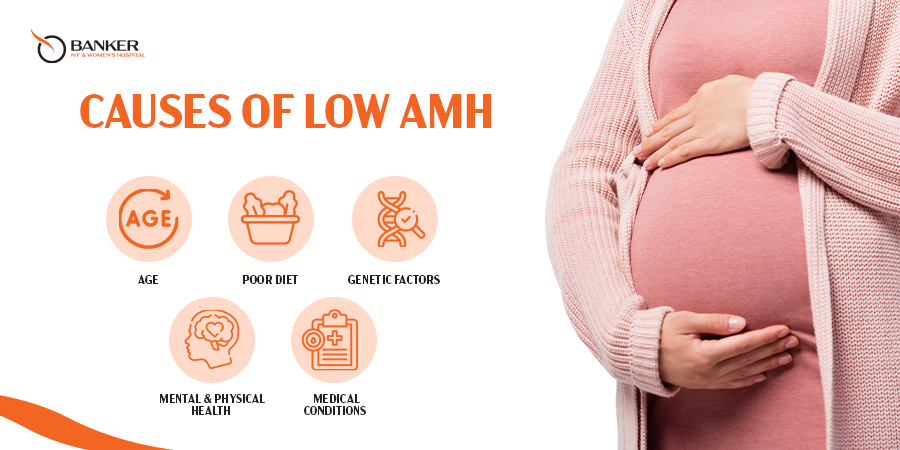 low amh level in women