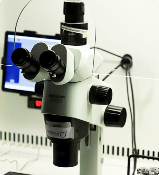 Women Hospital in Ahmedabad