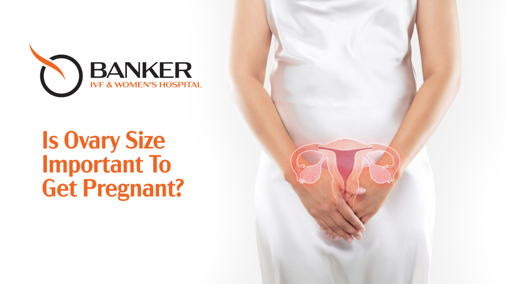 Is Ovary Size Important to Get Pregnant