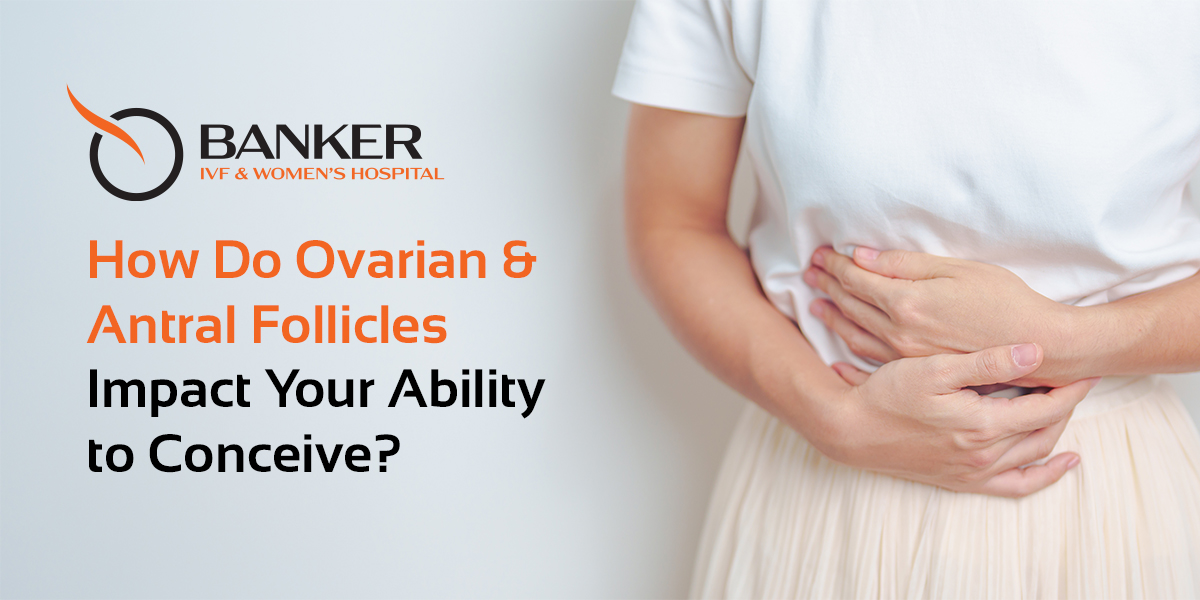 Ovarian and Antral Follicles