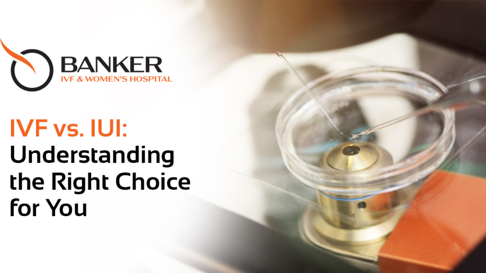 IVF vs IUI