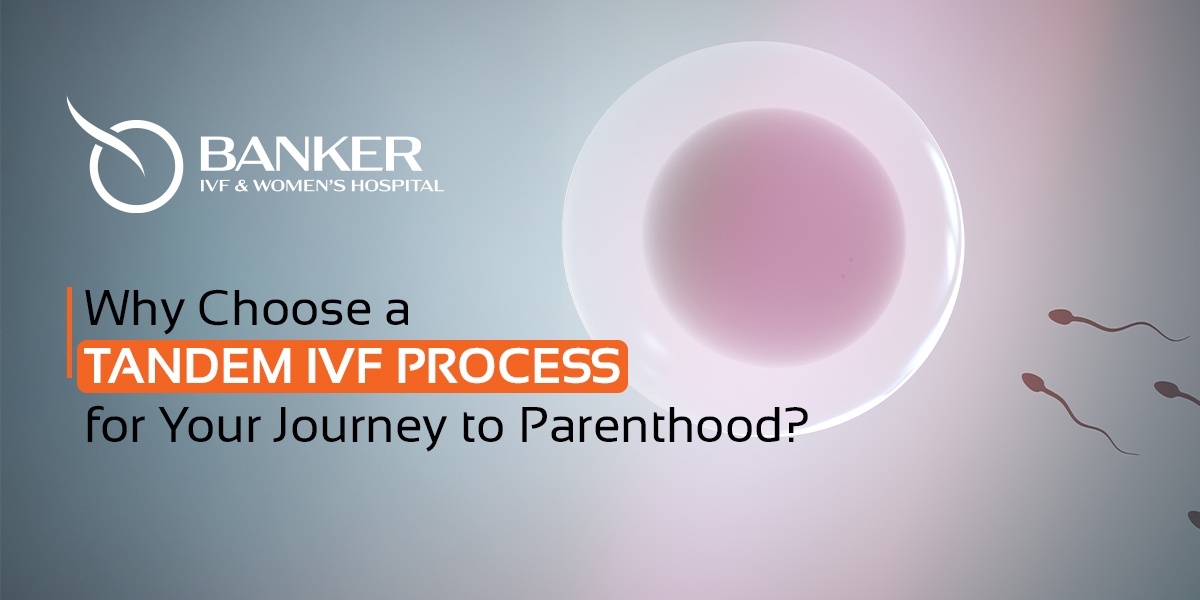 IVF Process