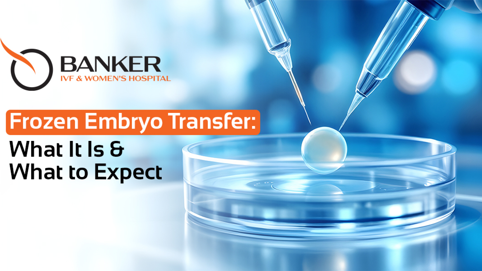 Frozen Embryo Transfer Process