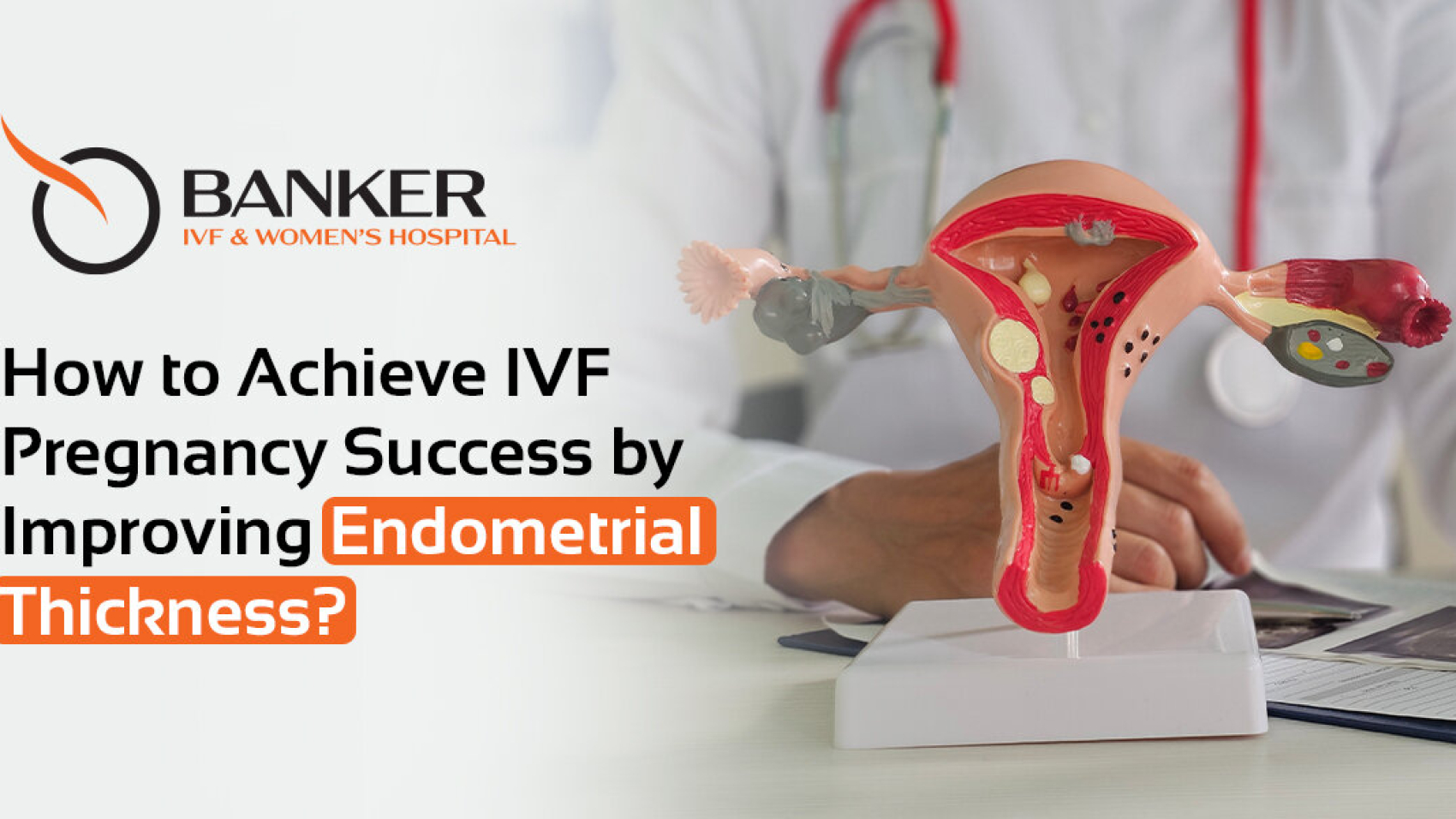 IVF Pregnancy Success