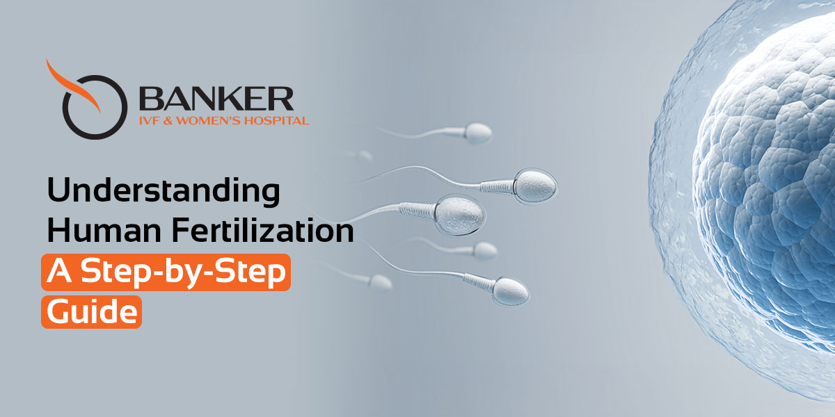 Human Fertilization