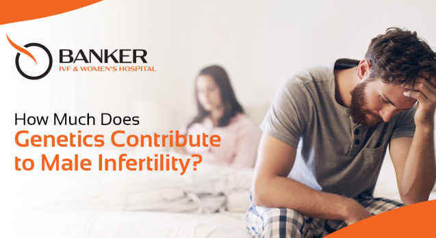 Genetics in male fertility