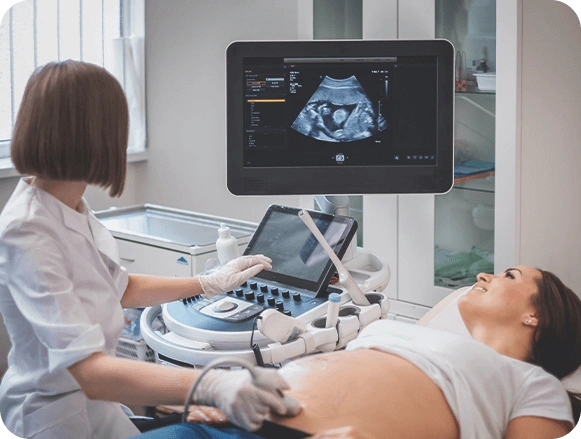 2D & 3D Ultrasound