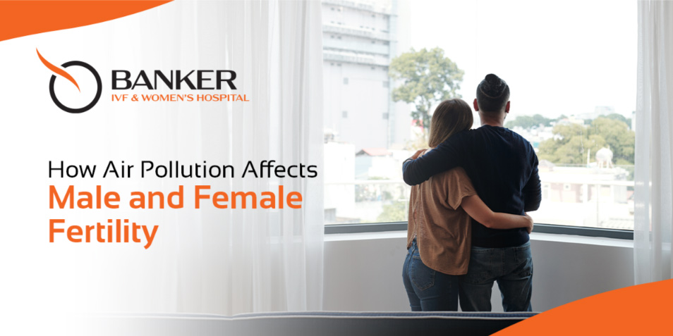 air pollution and fertility